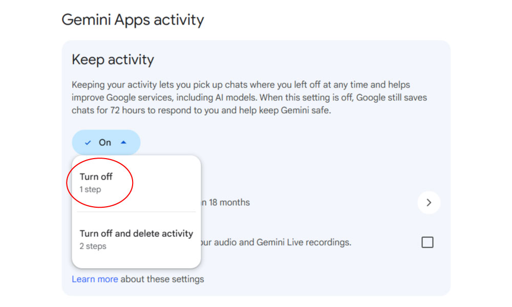 google-gemini-settings